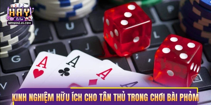Kinh nghiệm hữu ích cho tân thủ trong chơi bài phỏm