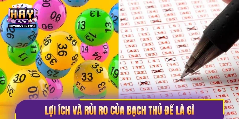 Lợi ích và rủi ro của bạch thủ đề là gì