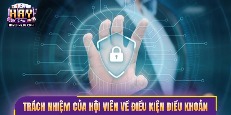 Trách nhiệm của hội viên về điều kiện điều khoản